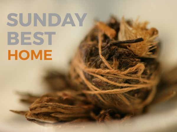 Close-up of pu-erh tea leaves