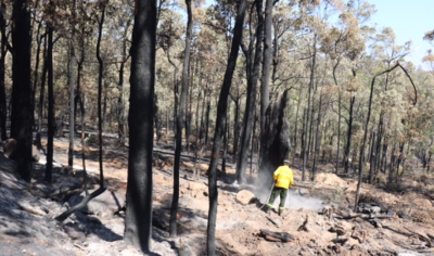 The fires have caused significant damage. Photo: ABC/Charlotte Hamlyn