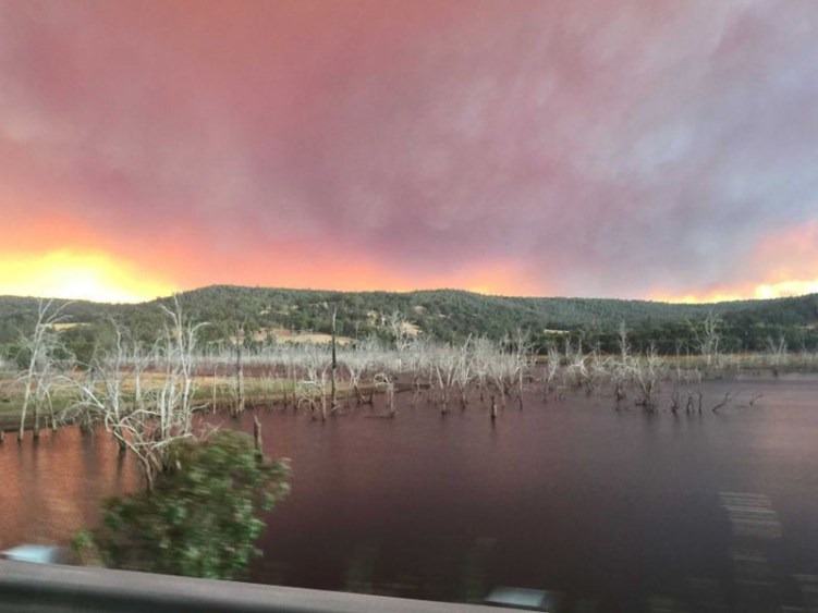 Taken near Harvey Dam as residents fled Waroona and Preston Beach. 
