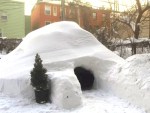new york igloo