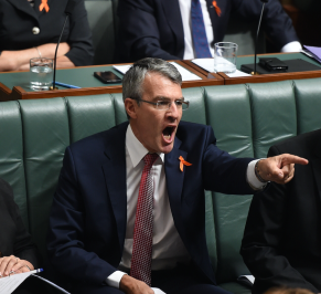 Mr Dreyfus was scathing of the measures taken by Mr Brandis. Photo: AAP
