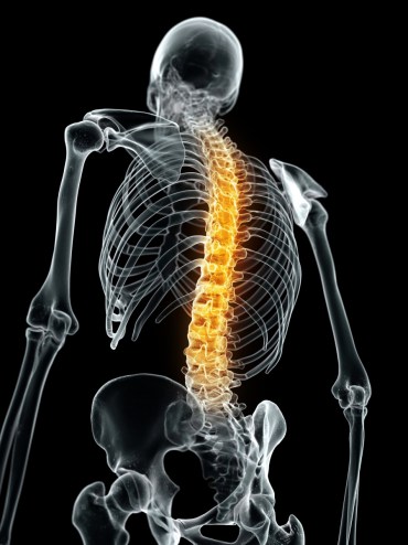 spine-180116-newdaily