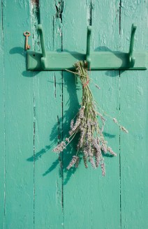 Use glycerin or florist's wire to preserve your own flowers. Photo: Getty