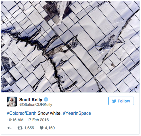 Screen Shot 2016-02-29 at 4.20.55 pm