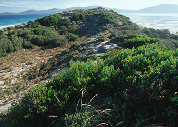 bruny island tasmania