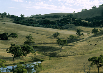 fleurieu peninsula