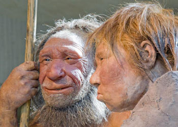 neanderthal
