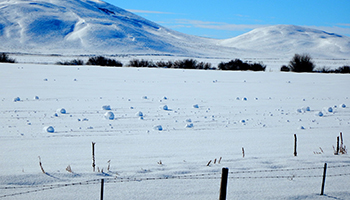 Locals said they'd never seen such big rollers before. Photo: The Nature Conservancy/AP