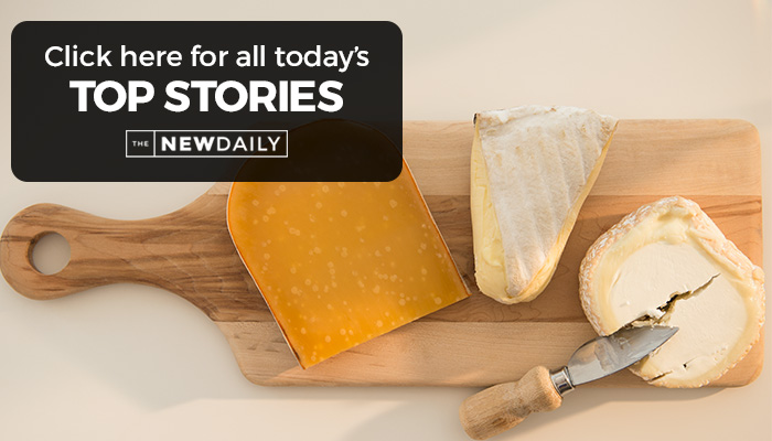 cheese 2, top stories feb 2 2016