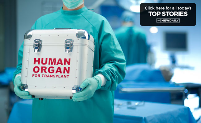 top-stories-organs