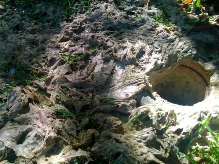 Wipes overflow the drain pipe at a residential property in Chatswood.