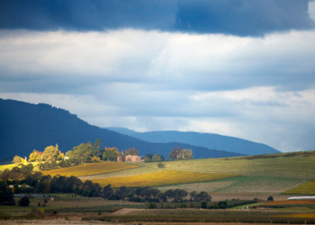 yarra valley