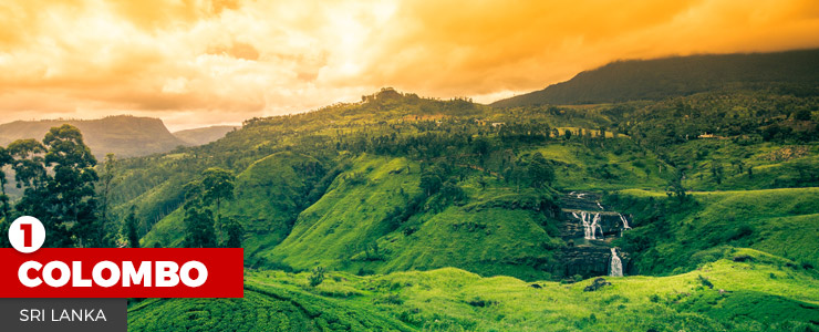 1Colombo