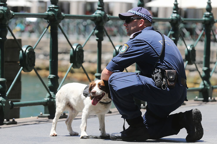 A police dog and handler work during the Lindt cafe siege in Sydney. Photo: Getty