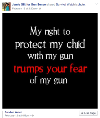 Jamie Gilt for Gun Sense