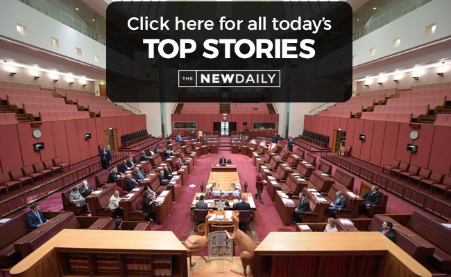 top-stories-senate