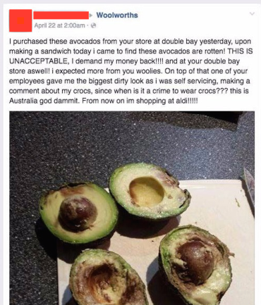 avocado woolworths