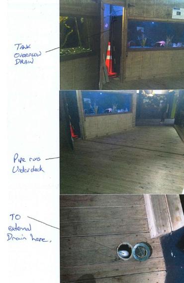 National Aquarium of New Zealand