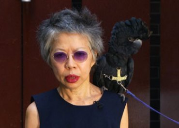 lee lin chin