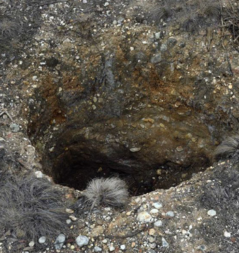 Mine shaft at Bacchus March.