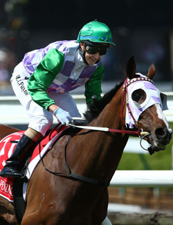 Payne rode Prince of Penzance to the 2015 Melbourne Cup. Photo: Getty