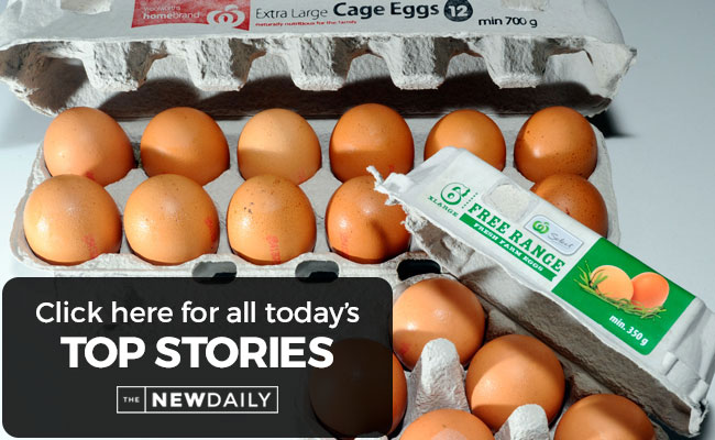 top-stories-eggs