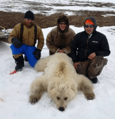 Screen Shot 2016-05-19 at 5.19.41 pm