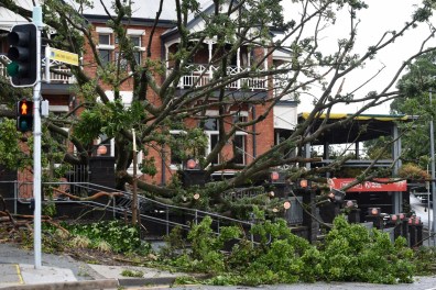 Around 30,000 homes are still without power in NSW and Queensland. Photo: AAP.