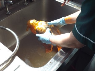 It will all come out in the wash. Photo: Facebook.