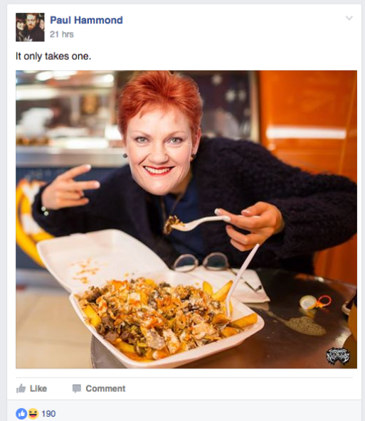 pauline hanson halal