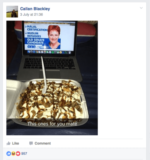 pauline hanson halal
