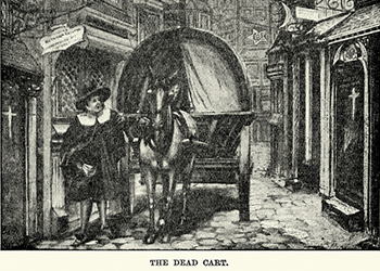 The one bacteria was behind the three major plague pandemics in history. Photo: Getty