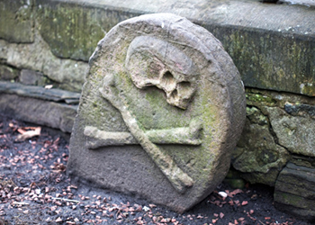 Different strains of the bacteria went to China after devastating Europe. Photo: Getty