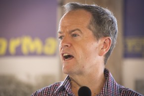 20160731001277458086-original