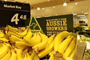 GettyImages-549526737