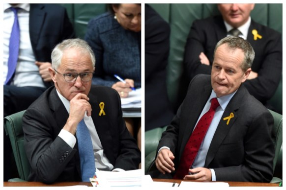 Turnbull Shorten newspoll