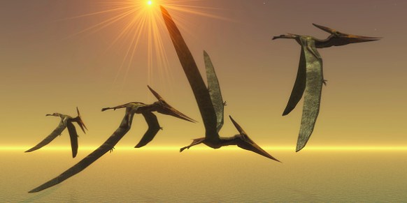 A group of Pteranodons take flight on a clear sunny day. Photo: Getty