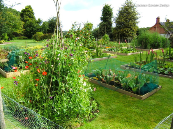 Someone else might have a really productive use for your garden. Photo: Houzz/