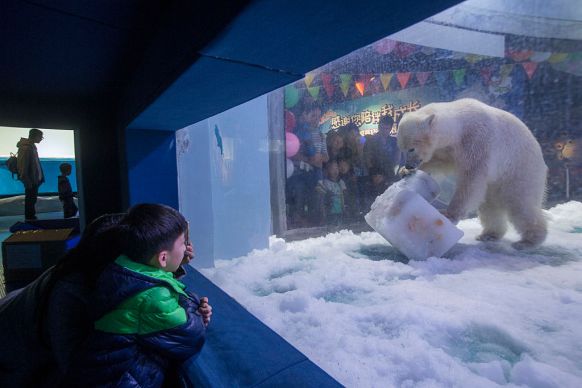 The Humane Society International along with three Chinese animal rights groups called for the mall to be closed.