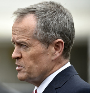 bill shorten