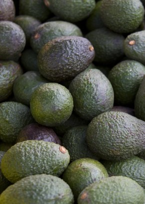 avocados