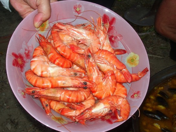 Once cooked, the disease is eradicated. Photo: Getty