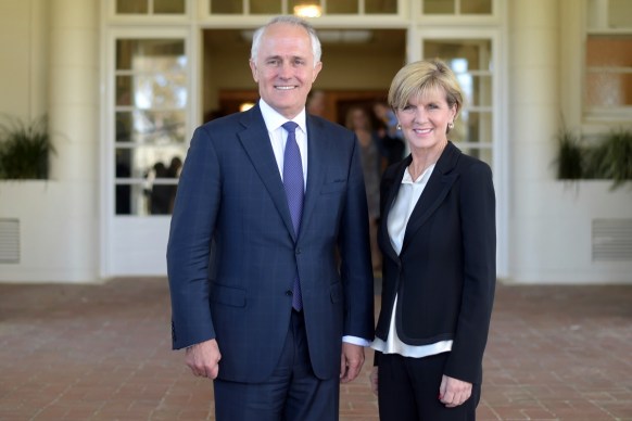 Malcolm Turnbull has received support for his plan
