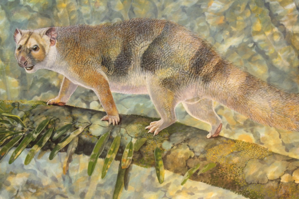 Artist impression of prehistoric cat