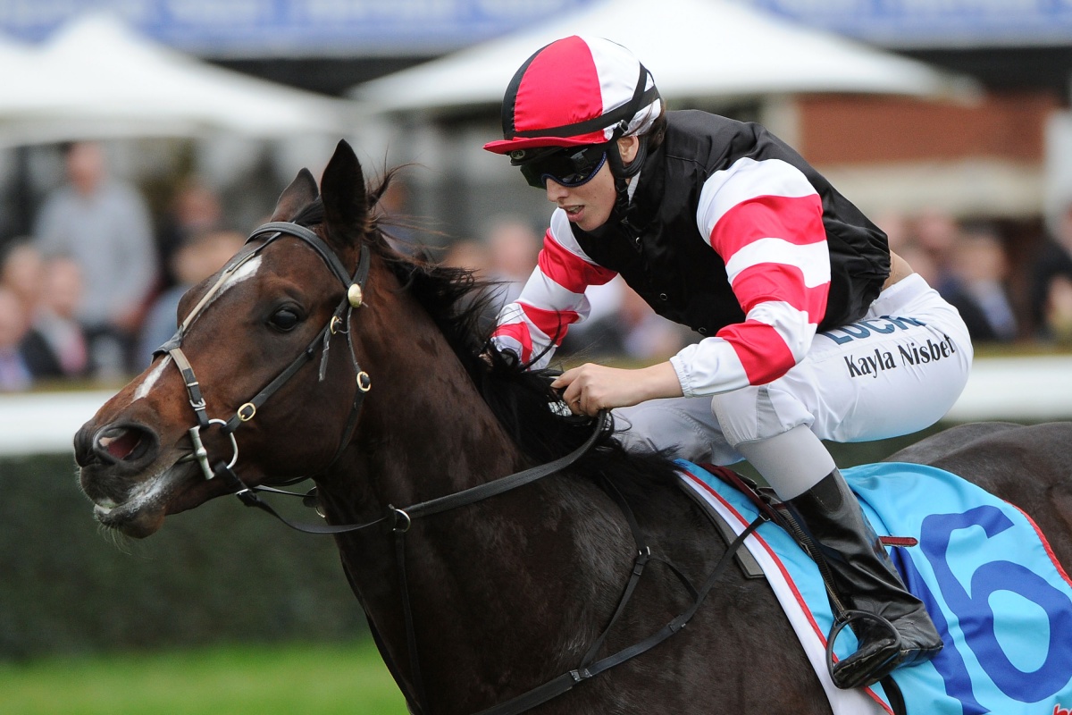 Kayla Nisbet riding Lord of the Sky. May 17, 2014 