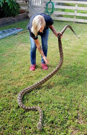 665ff6fec5e8e8e25711b09dc350cb7e