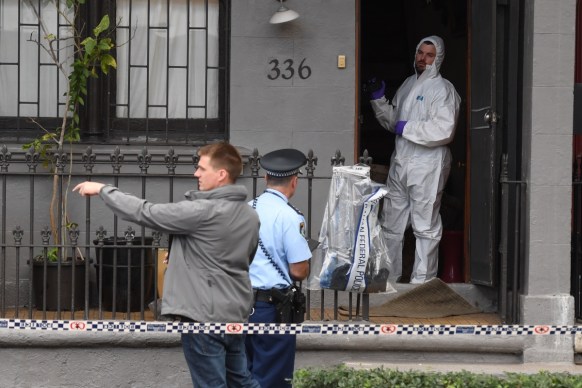 terror raids foil plot to down aircraft