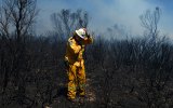 nsw bushfires