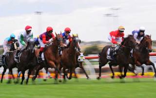 Horse racing interest rates