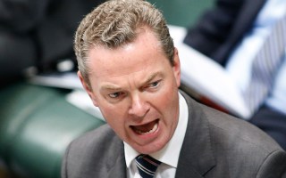 Chris Pyne